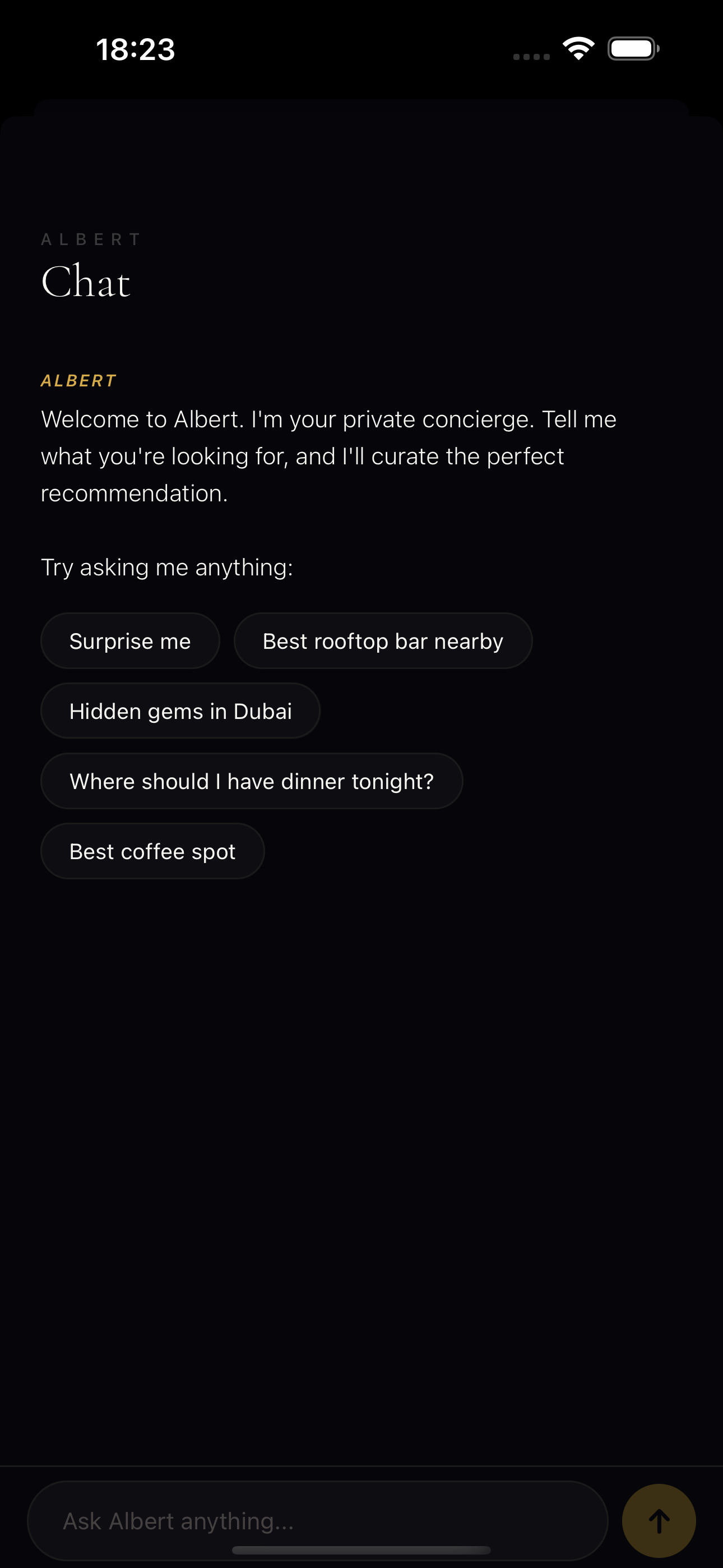 Chat with Albert